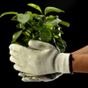 Guanti da lavoro di sicurezza a punti in PVC FL-7259