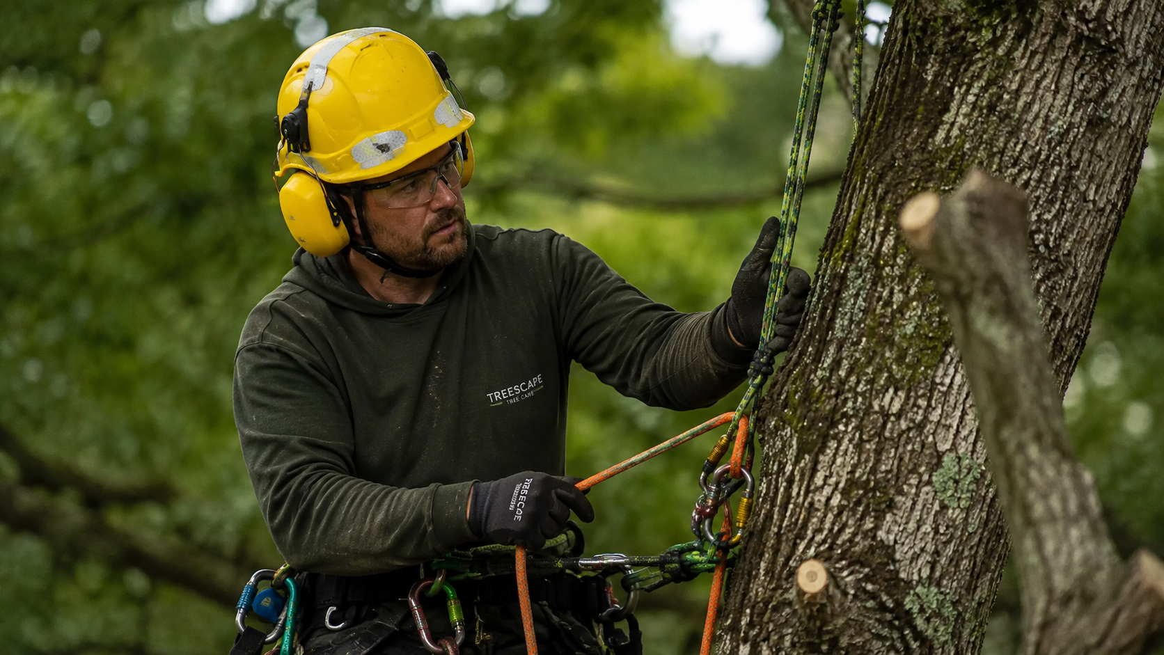 Operaio forestale che indossa un casco di sicurezza giallo con protezione acustica mentre esegue lavori di cura degli alberi